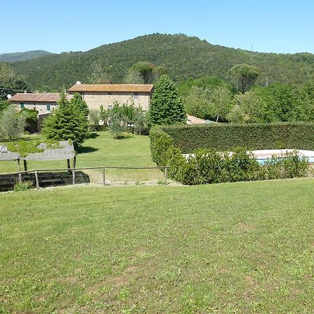 Agriturismo Le Colline Montescudaio Room photo